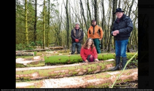Platz schaffen für den Klimawald